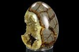 Calcite Crystal Filled Septarian Geode Egg - Utah #123844-2